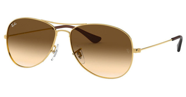 Rayban - 3362 - Cockpit